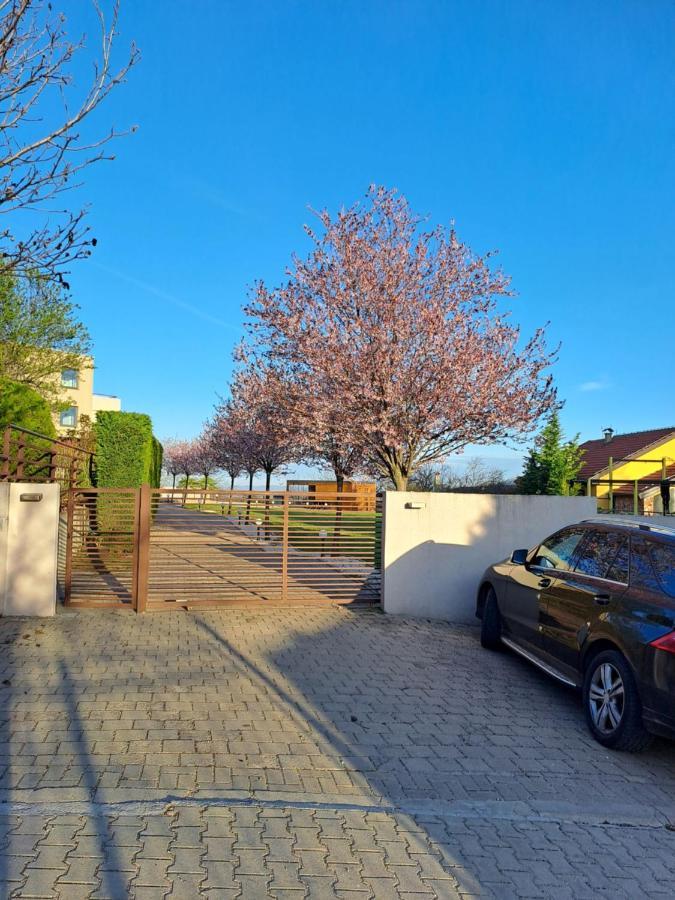 Villa Sunny Side Apartment Skopje Dolno Solnje 외부 사진
